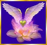 Luce/Amore